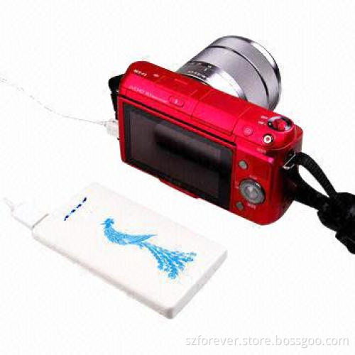 Portable Power Bank with 5,000mAh Capacity, Suitable for iPhone/iPad/Digital Camera/PSP/Tablet PC